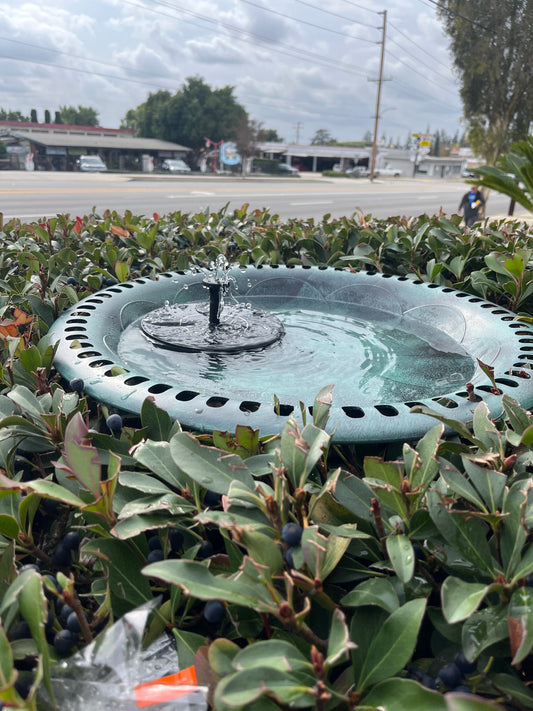 BTExpert 28" Green Pedestal Birdbath with Fleur-de-lis, Outdoor Garden Decor, Solar Pump Feeder w/ Nozzles