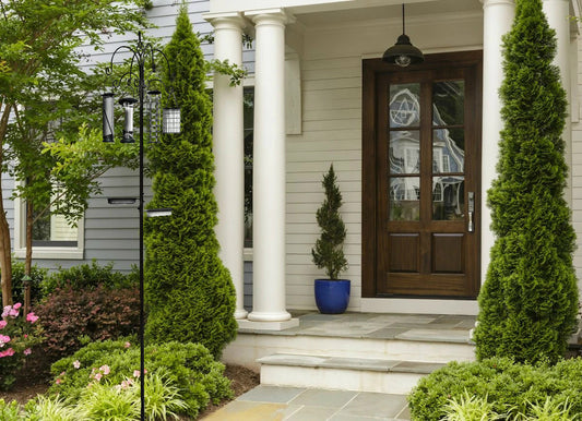 BTExpert 6-Hook Bird Feeding Station Kit, 4 Multi Feeder Poles with Suet, Wire, Peanut Tubes, 22" x 96", 5-Prong Steel Stand