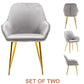 Sarah Premium Metallic Gray Accent Bucket Upholstered Modern Dining Chairs - Set of 2