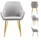 BTExpert Sarah Metallic Gray Accent Bucket Upholstered Modern Dining Chair