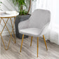 BTExpert Sarah Metallic Gray Accent Bucket Upholstered Modern Dining Chair
