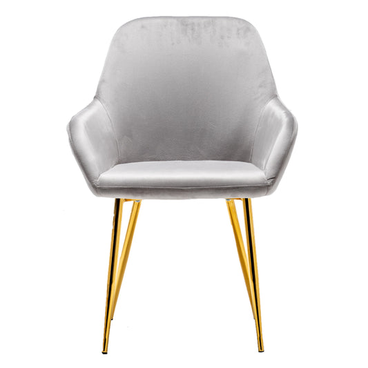 Sarah Premium Metallic Gray Accent Bucket Upholstered Modern Dining Chairs - Set of 2