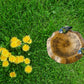 Golden Bronze Lily Leaf Pedestal Outdoor Garden Floral Bird Bath Decoration Accent